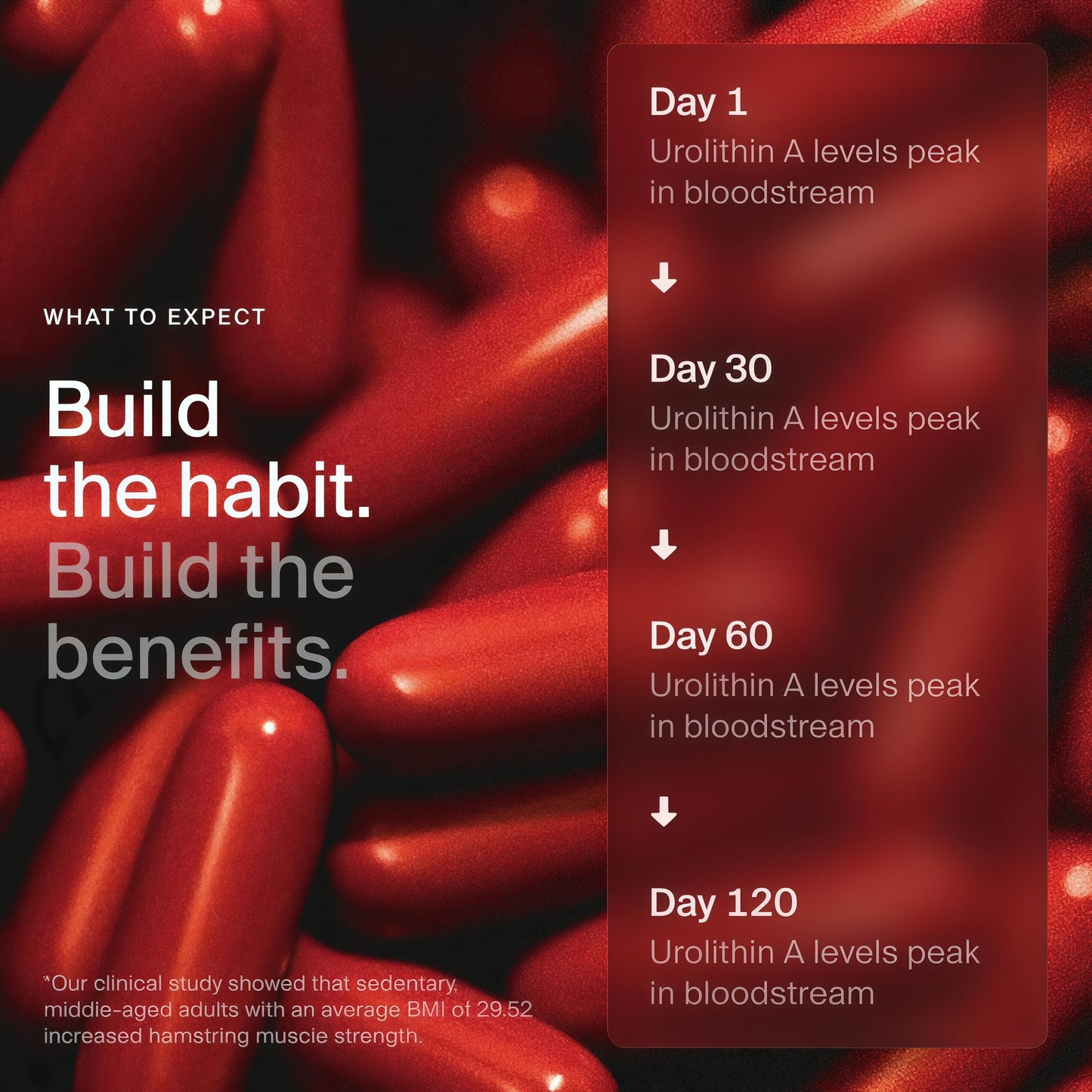 Timeline Mitopure Urolithin A Supplement Softgels - Clinically Proven Support for Healthy Aging and Cellular Renewal - Mitoceutical for Muscle Support and Longevity