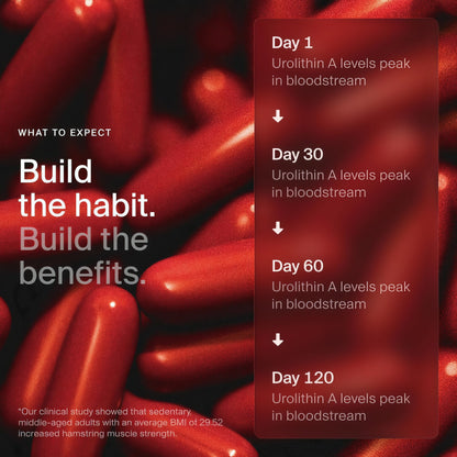Timeline Mitopure Urolithin A Supplement Softgels - Clinically Proven Support for Healthy Aging and Cellular Renewal - Mitoceutical for Muscle Support and Longevity